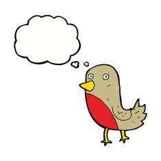 cartoon robin with thought bubble N15