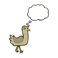 cartoon bird with thought bubble N231