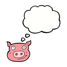 cartoon pig face with thought bubble N9