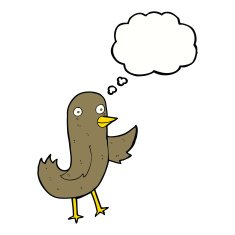 funny cartoon bird with thought bubble N110
