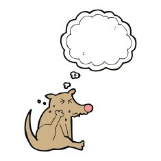cartoon dog scratching with thought bubble N5