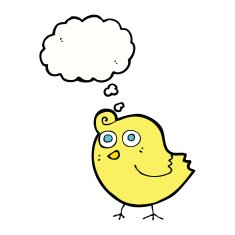 funny cartoon bird with thought bubble N115