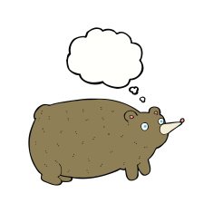 funny cartoon bear with thought bubble N32