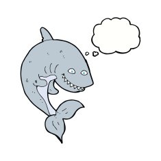 cartoon shark with thought bubble N33
