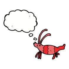 cartoon shrimp with thought bubble N29