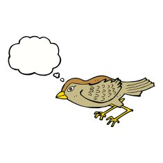 cartoon garden bird with thought bubble N32