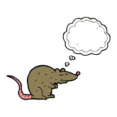 cartoon rat with thought bubble N4