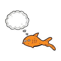 cartoon fish with thought bubble N78
