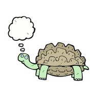 cartoon tortoise with thought bubble N8