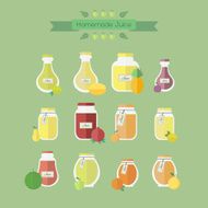 Collection of jars with juice Vector objects in flat