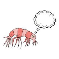 cartoon shrimp with thought bubble N31