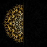 Banner on black background with flowers N4