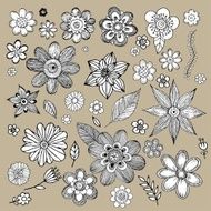 Flowers Doodle Vector