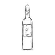 Vector Single Sketch Bottle N4