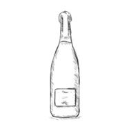 Vector Single Sketch Bottle N6