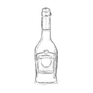 Vector Single Sketch Bottle N9