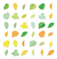 leaves doodles set Vector hand drawn illustration N2