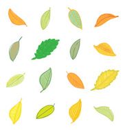 leaves doodles set Vector hand drawn illustration N3