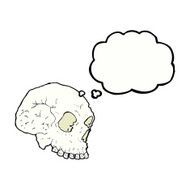skull illustration with thought bubble N3