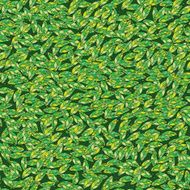 Spring leaves