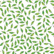 Spring leaves N2