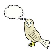 cartoon owl with thought bubble N62