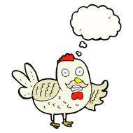 cartoon old rooster with thought bubble N8