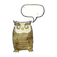 Cartoon owl with speech bubble N70