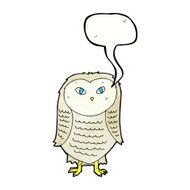 Cartoon owl with speech bubble N72