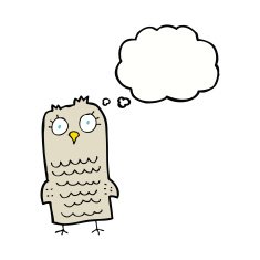 cartoon owl with thought bubble N55