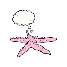 cartoon starfish with thought bubble N2