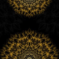 Banner on black background with flowers N2