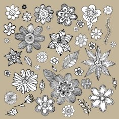 Flowers Doodle Vector