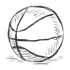 Vector Single Sketch Basketball Ball