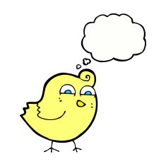 cartoon funny bird with thought bubble N10