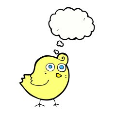 funny cartoon bird with thought bubble N128