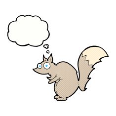 funny startled squirrel cartoon with thought bubble N10