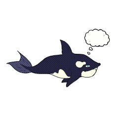 cartoon killer whale with thought bubble N10