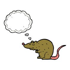 cartoon rat with thought bubble N5