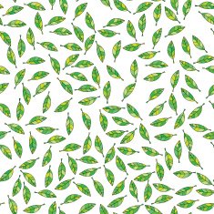 Spring leaves N2