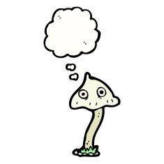 cartoon mushroom with thought bubble N2