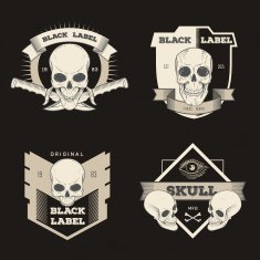 Set of retro vintage badge symbol with skull