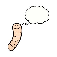 cartoon worm with thought bubble N8
