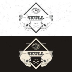 Retro vintage badge symbol with skull