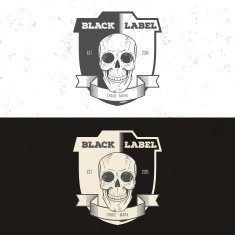 Retro vintage badge symbol with skull N3