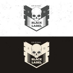 Retro vintage badge symbol with skull N4