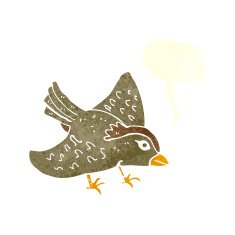 cartoon garden bird with speech bubble N37