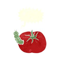 cartoon tomato with bug speech bubble N6