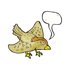 cartoon garden bird with speech bubble N39
