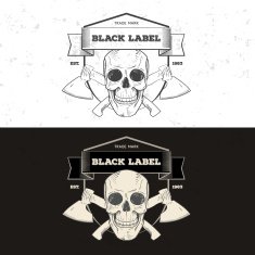 Retro vintage badge or logotype with skull